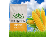 П9911 / P9911 AQUAmax Форс Зеа - кукуруза, 80 000 семян, Pioneer (Пионер) фото, цена